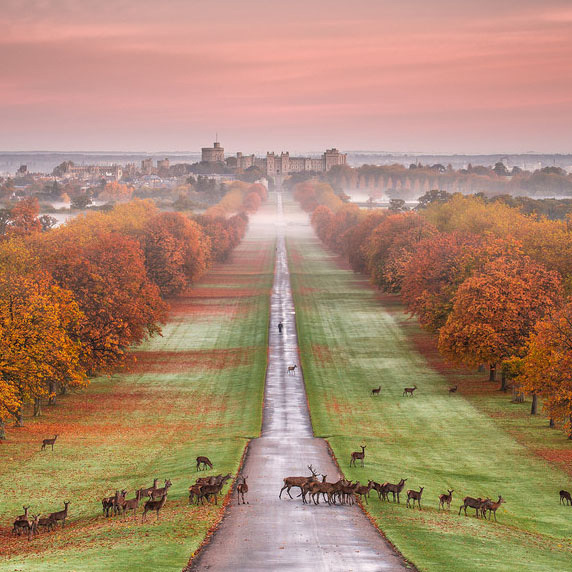 Autumn Colour